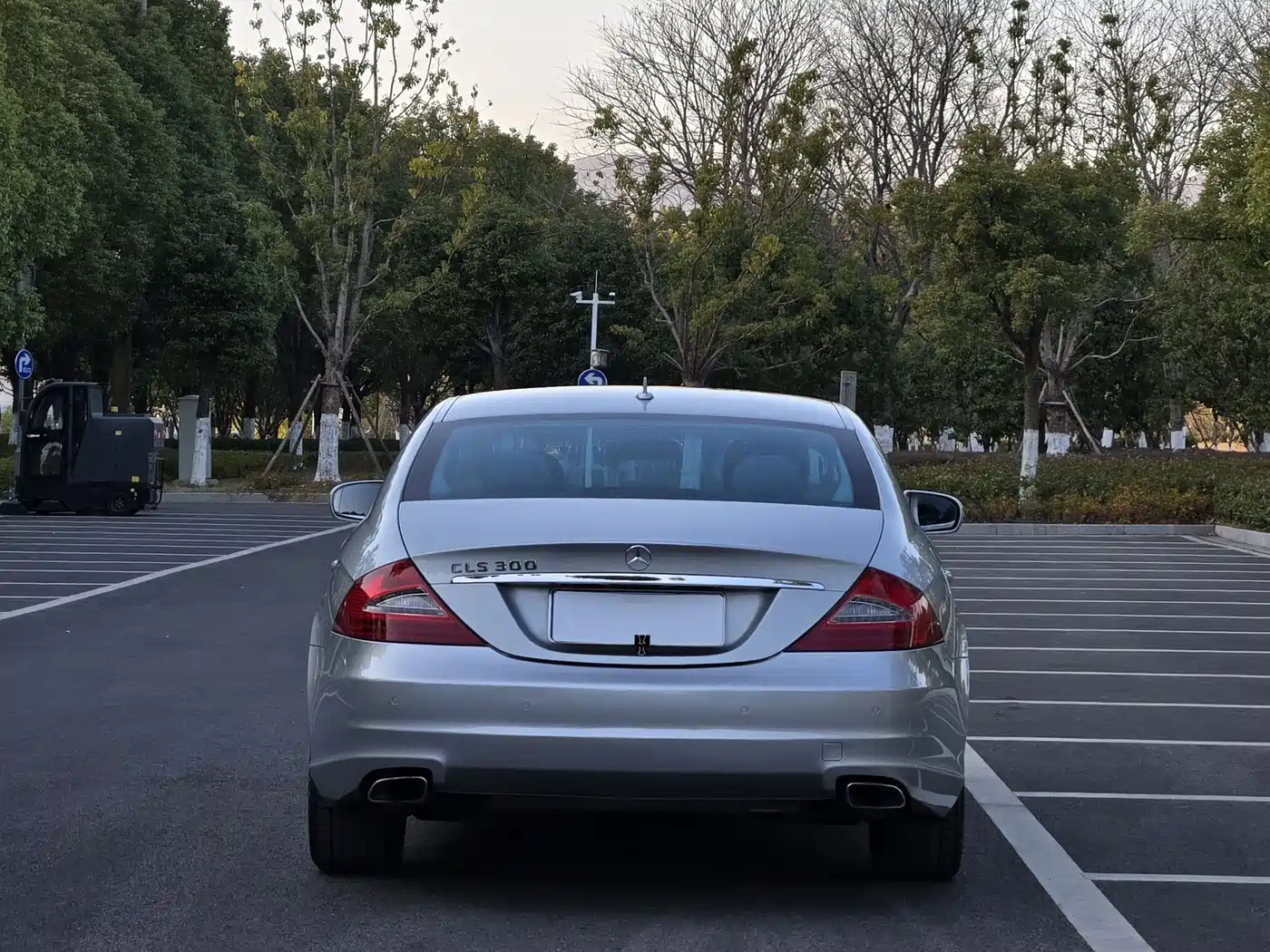 Mercedes-Benz CLS 2009 CLS 300 фото 5