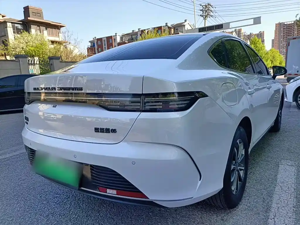 BYD Destroyer 05 2024 Glory Edition DM-i 55KM Luxury фото 5