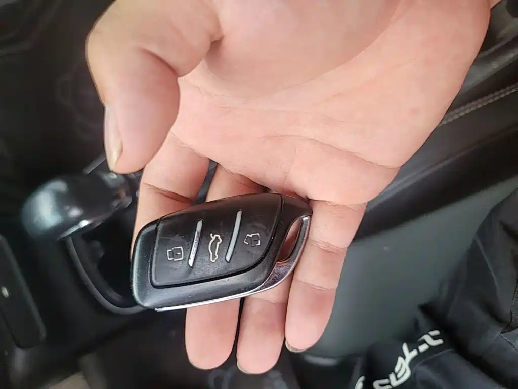 Roewe Kaiwei CLEVER 2023 2022 311km Vitality Bobo Edition