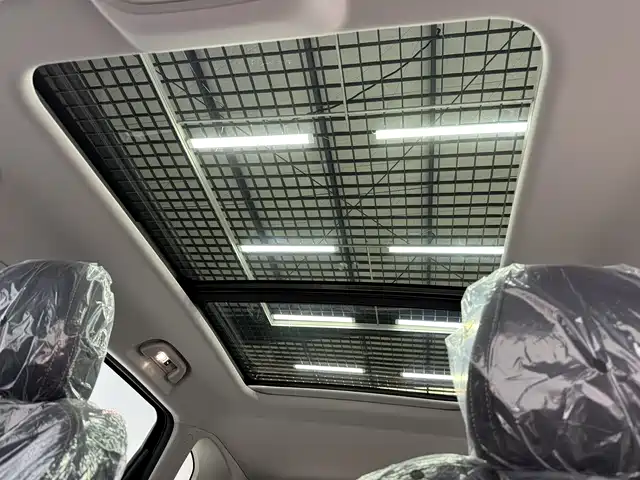 Haval Big Dog 2026 Model 1.5T High Configuration фото 15