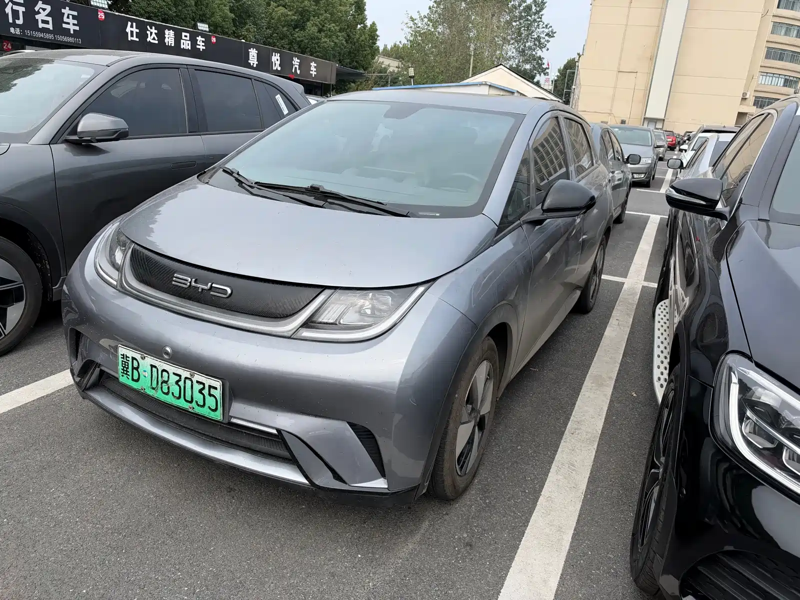 Фото 1 - BYD Dolphin