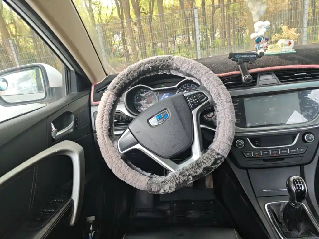 Фото 17 - Geely Emgrand