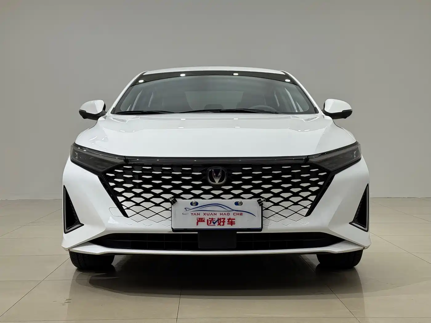Changan Ruicheng PLUS 2023 2023 1.5T DCT Premium