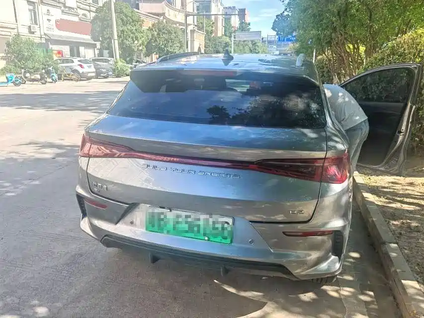 BYD e2 2024 2024 Honor Edition Luxury