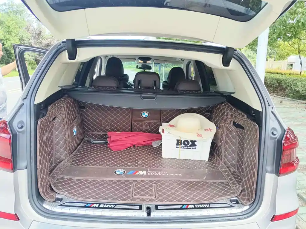 BMW X3 2018 2018 xDrive25i Luxury Package China V