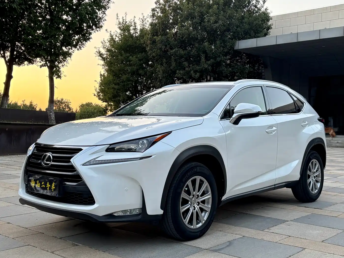 Фото 1 - Lexus NX