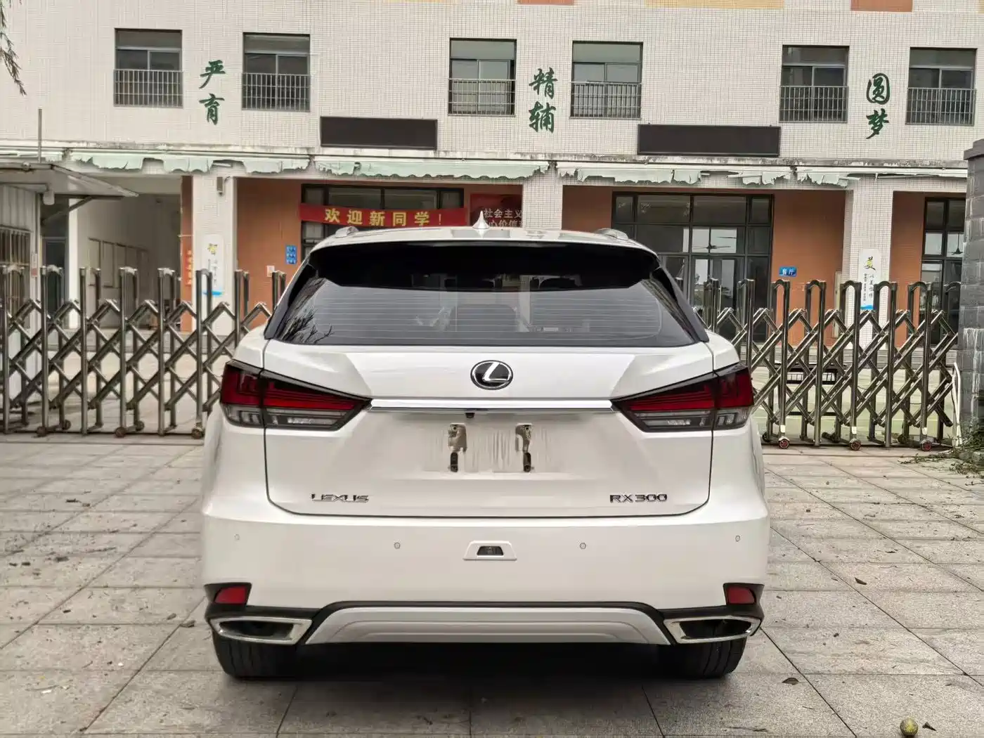 Фото 4 - Lexus RX
