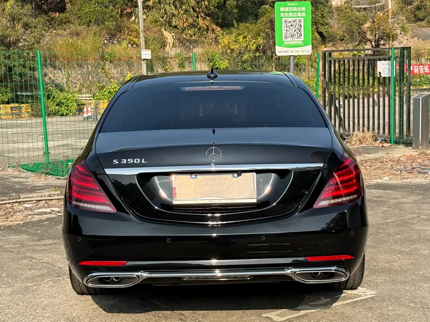 Mercedes-Benz S-Class 2020 S 350 L Business Edition Collector's Version фото 12