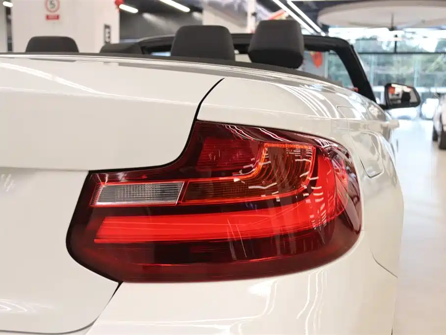 BMW 2 Series (Import) 2015 218i Convertible Coupe фото 18