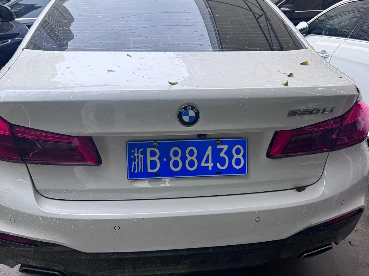BMW 5 Series 2020 530Li Exclusive M Sport Package фото 6