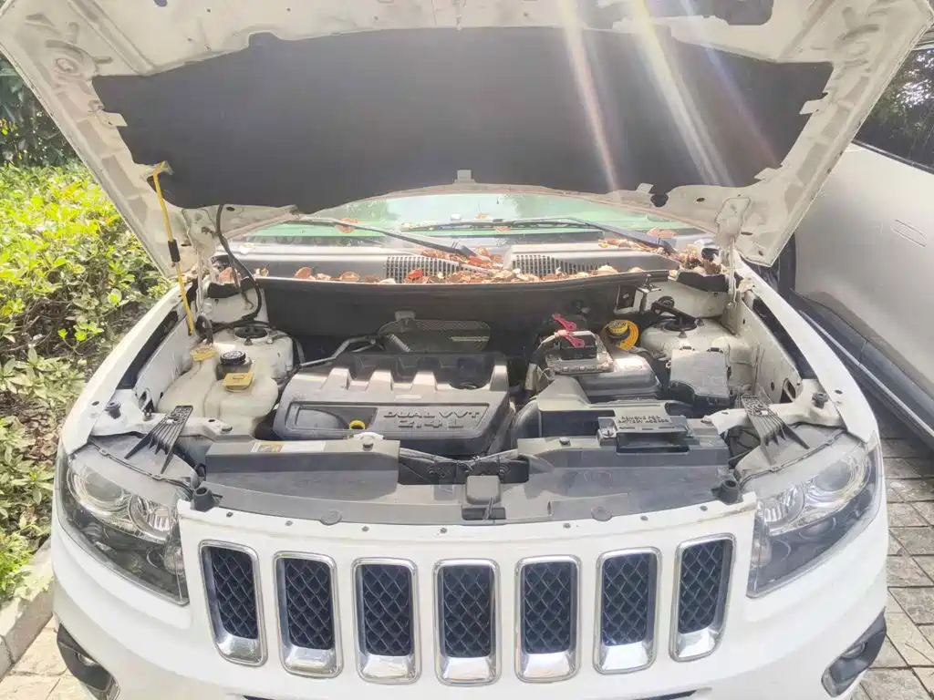 2016 Jeep Compass (Import)