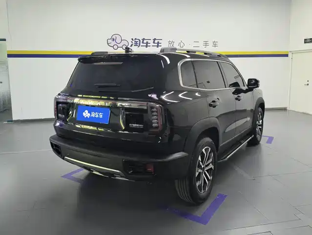 Haval Big Dog 2024 1.5T DCT Border Collie Edition — фото 3