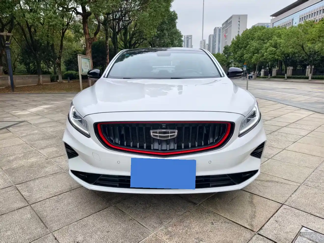 Фото 2 - Geely Borui