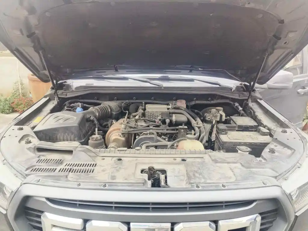 Foton Tunland Yutu 2020 2020 2.0T Yutu 9 Diesel 2WD Enjoy Edition Long Wheelbase 4F20TC