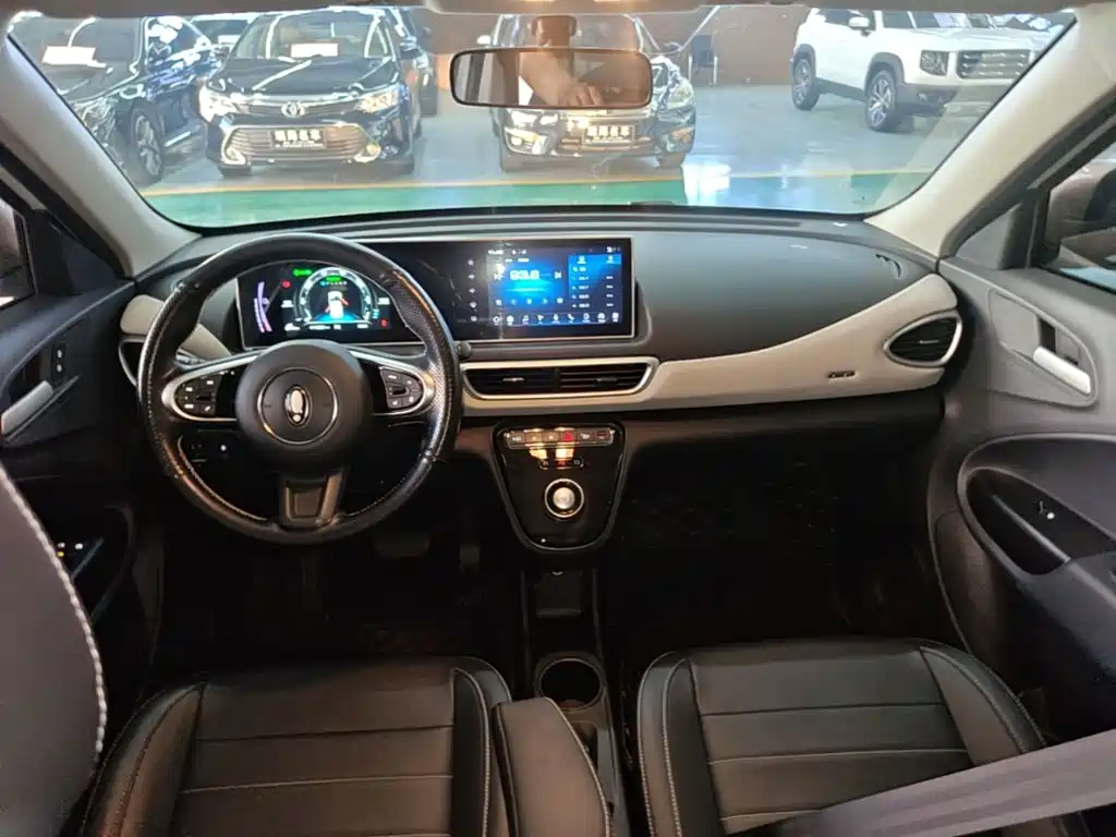Ora White Cat 2021 2020 360km Luxury Model