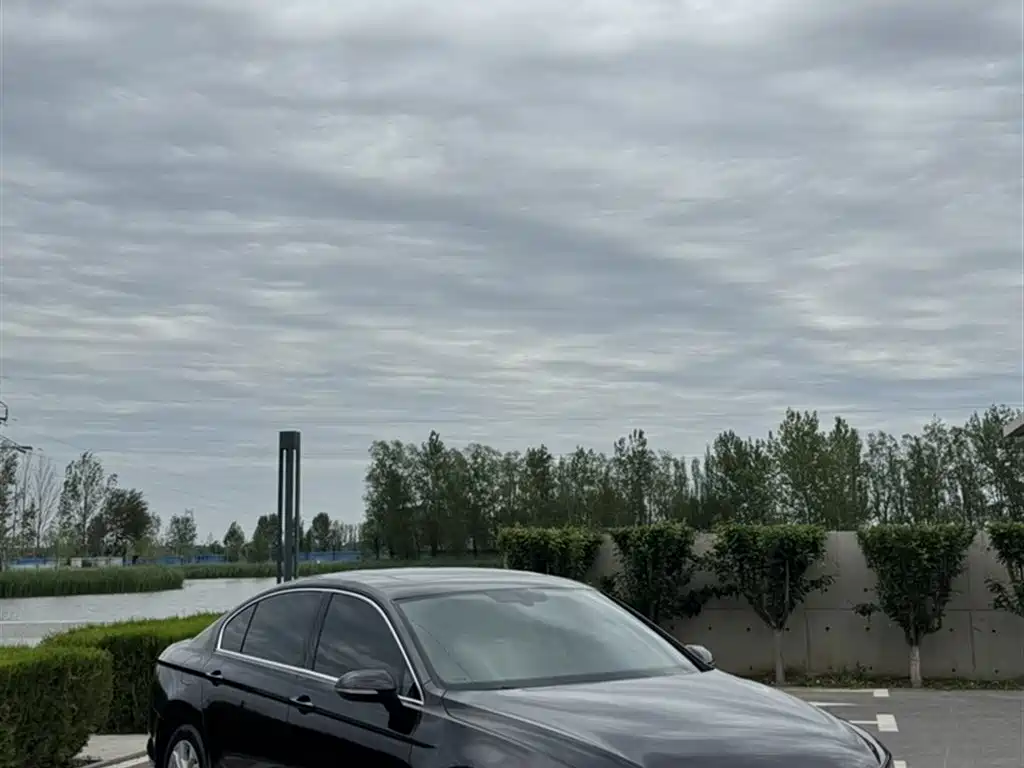 Volkswagen Magotan 2017 330TSI DSG Luxury фото 10