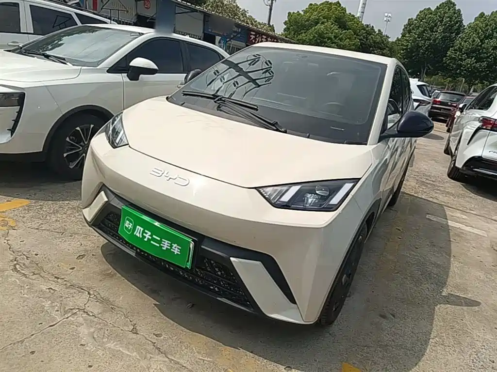 BYD Seagull 2023 Freedom Edition