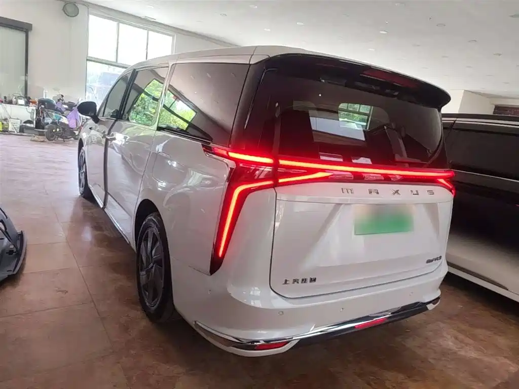 SAIC Maxus Dajia 9 2022 Long Range Alpine 7-Seater фото 22