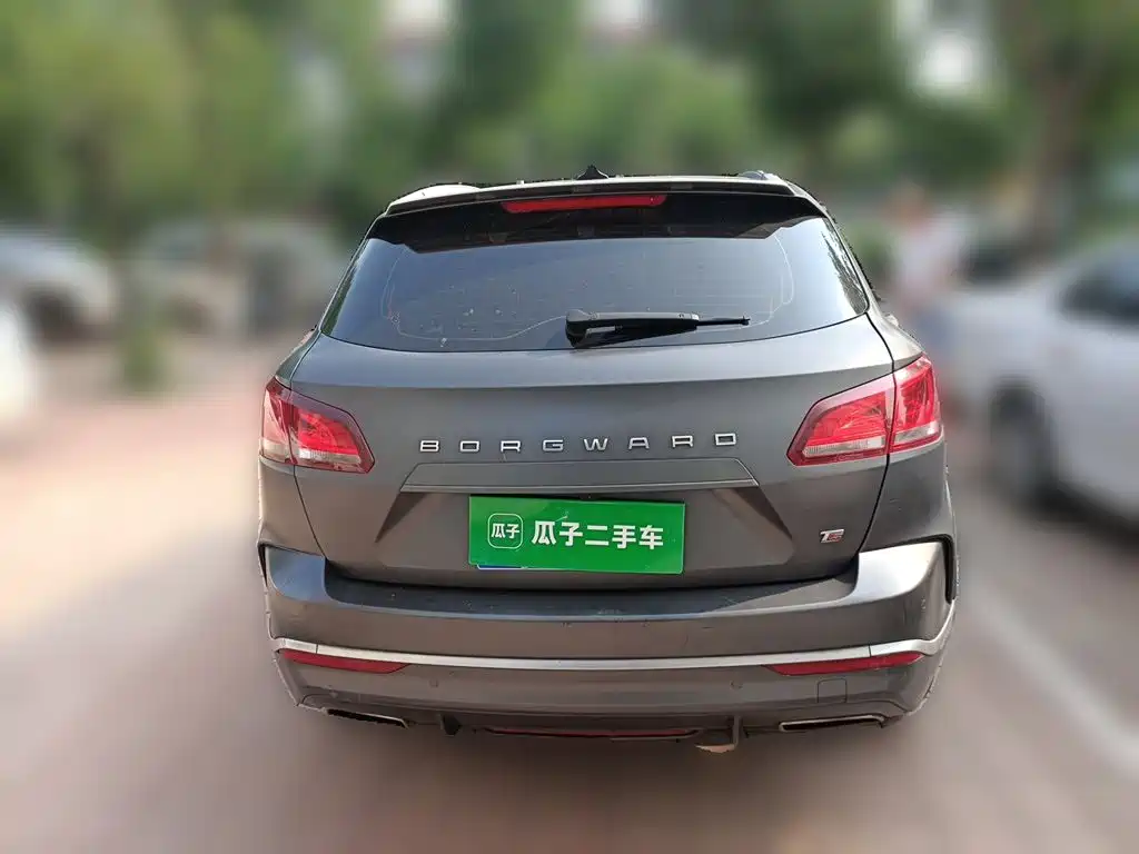 Borgward BX7 2019 2018 2.0T TS AWD Luxury (China V)