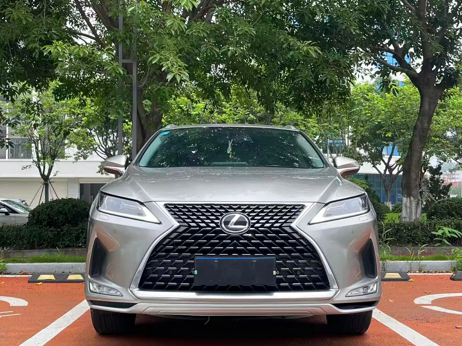 Фото 2 - Lexus RX