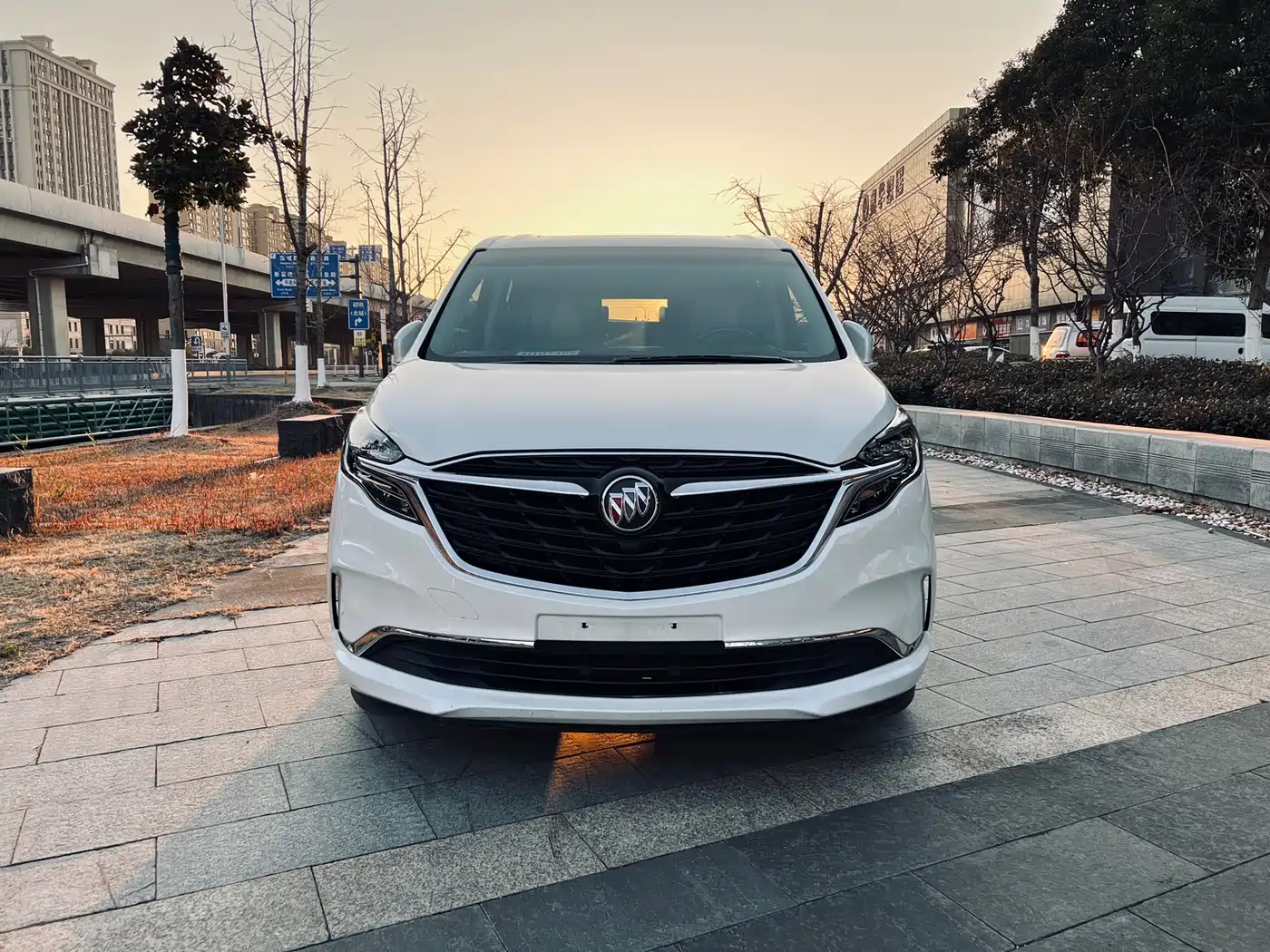 Buick GL8 2021 ES Landlord 653T Comfort фото 3