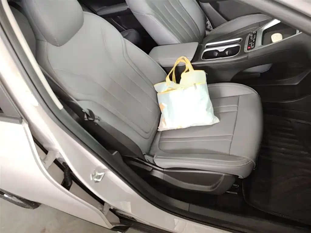 Geely Galaxy Starry Wish 2026 Model 310km Dream Edition фото 25