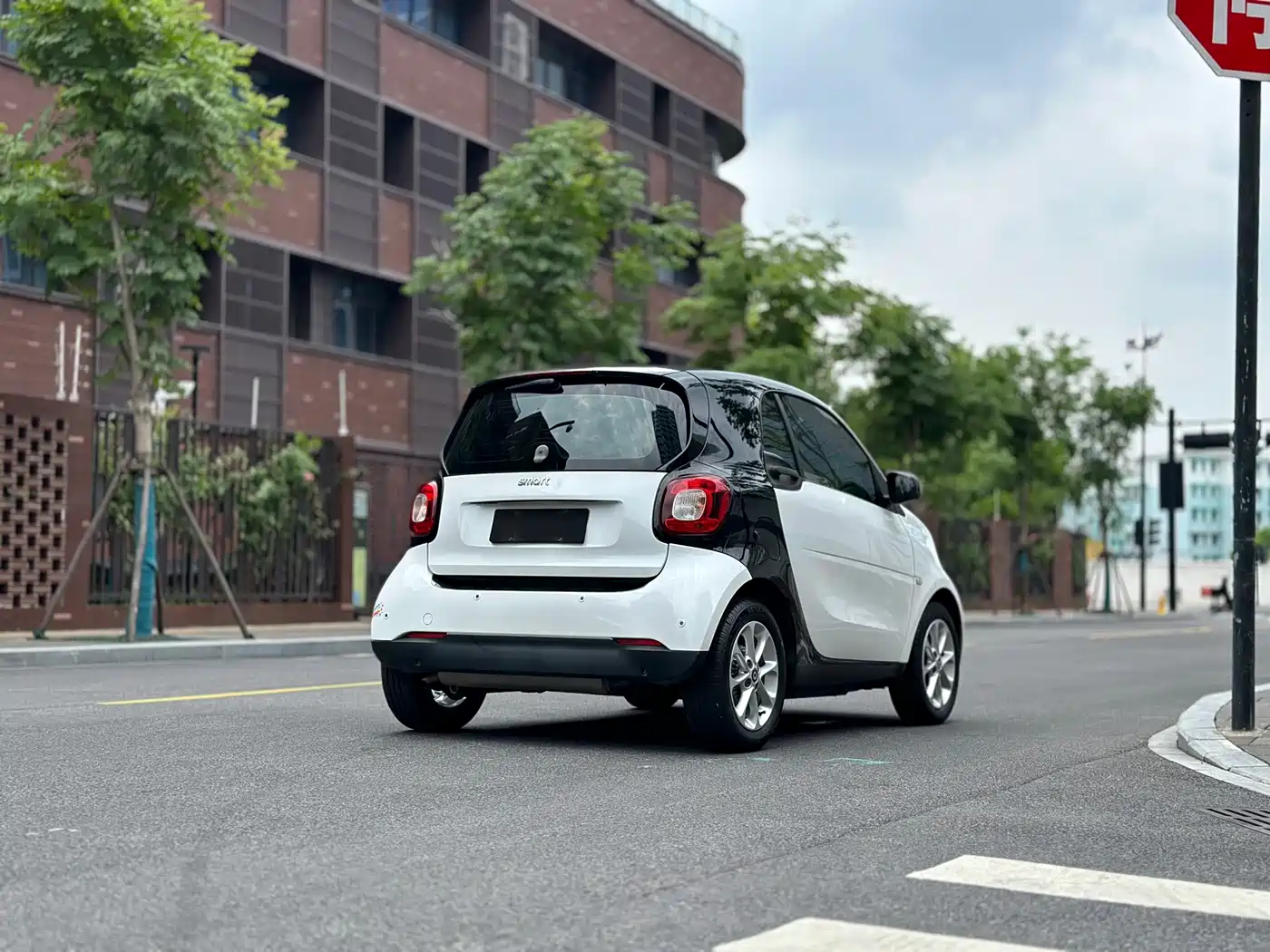 smart fortwo 2019 2018 1.0L 52kW Hardtop Agile Edition China V