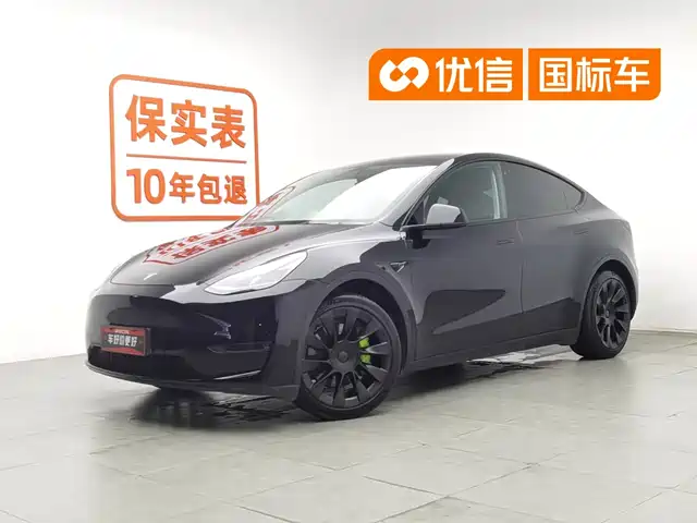 Tesla Model Y 2021 Standard Range Rear-Wheel Drive — фото 1