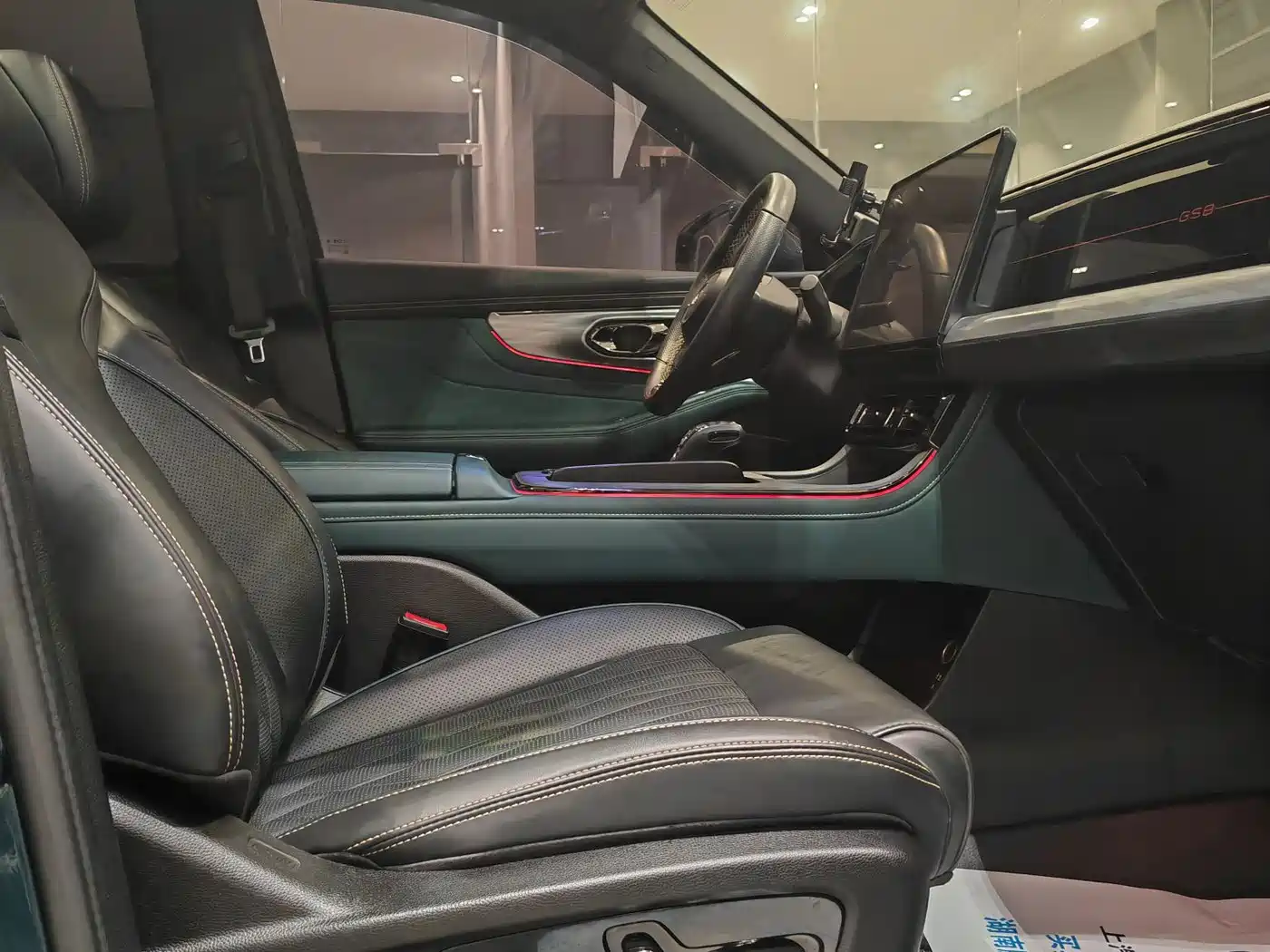 GAC Trumpchi Trumpchi GS8 2022 Dual Engine Series 2.0TM 2WD Premium Edition (7-Seater) фото 9