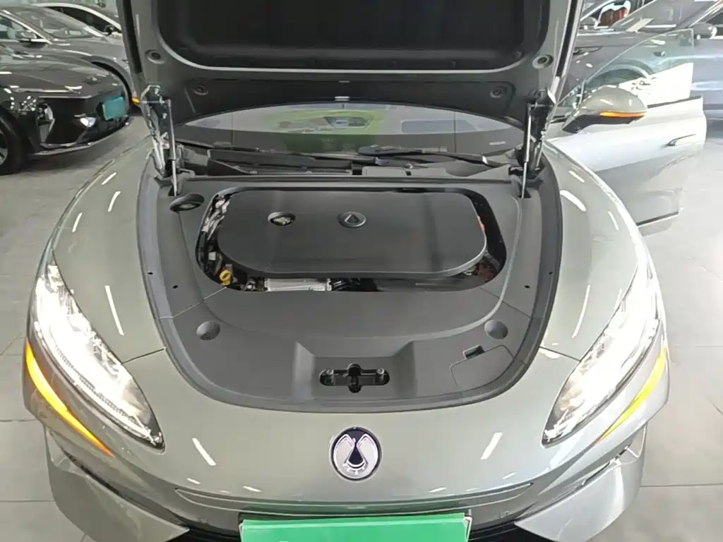 Фото 20 - Denza Z9GT