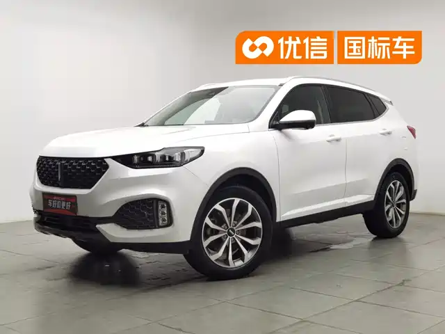 WEY VV6 2020 2.0T 2WD Smart Protection+ — фото 1