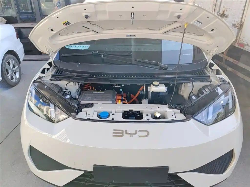 BYD Seagull 2025 Smart Drive Edition 305km Vitality Version фото 20