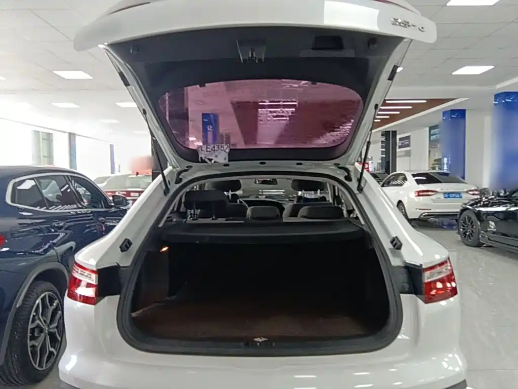 Baojun RC-6 2020 2019 1.5T CVT 24-hour Online Elite
