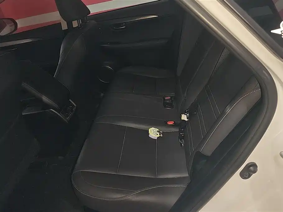 Lexus NX 2018 Model 300h FWD Fengshang Edition China V фото 11