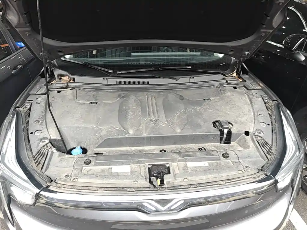 Nezha Auto Neta U 2023 2022 Nezha U-Ⅱ 610 Ternary Lithium