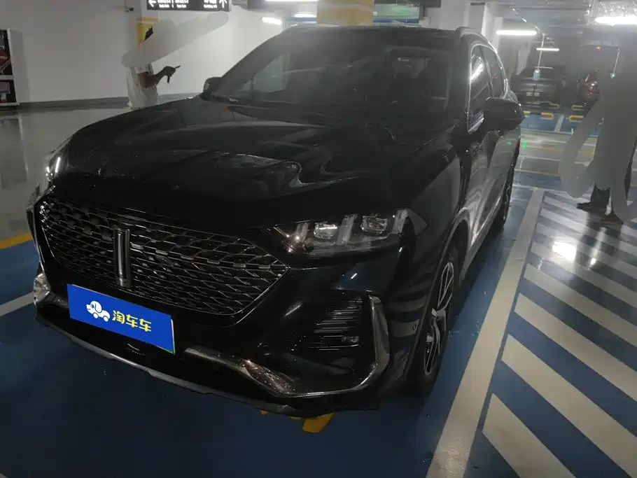 WEY Latte DHT-PHEV 2023 2022 1.5T 2WD Extra Large Cup