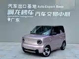 Фото 1 - Geely Galaxy Panda