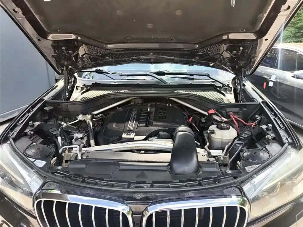 BMW X5 (Import) 2017 xDrive35i Elegance фото 16