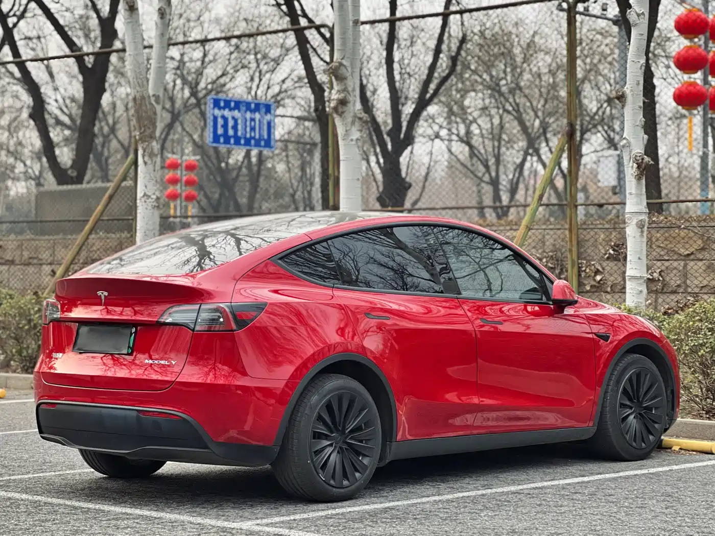 TESLA MODEL Y
