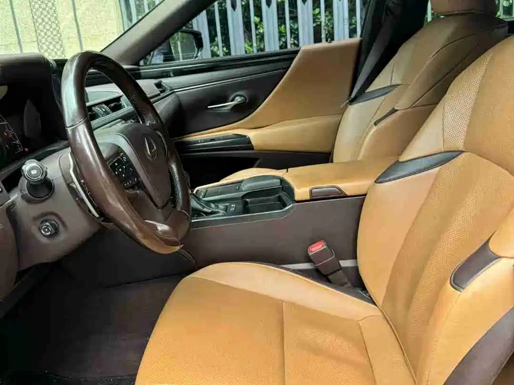 Lexus ES 2020 Model 300h Excellence Edition China V фото 9
