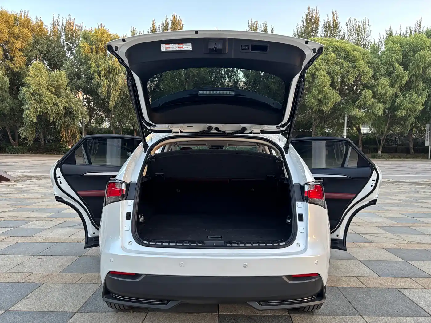 Фото 25 - Lexus NX