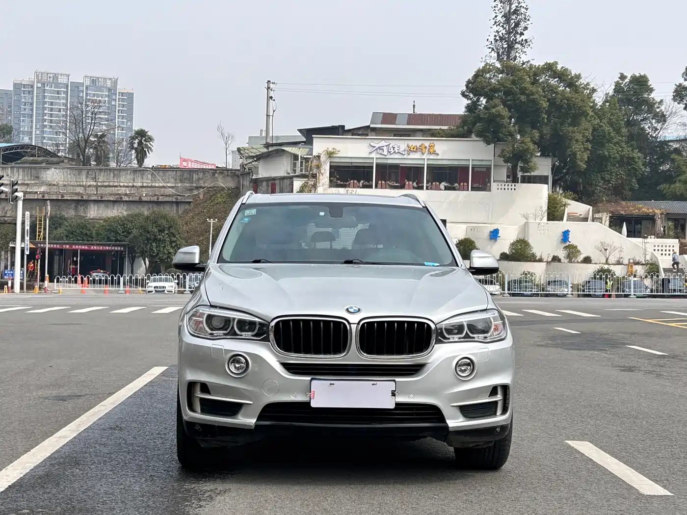 BMW X5 (Import) 2014 xDrive35i Elegance фото 2