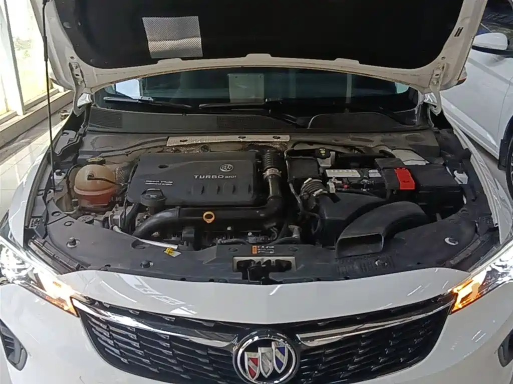 BUICK WEILANG