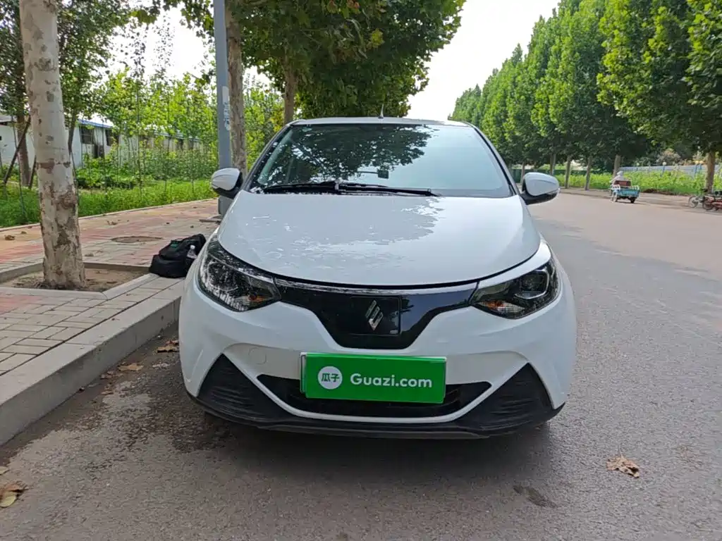 JMCG New Energy Little Kirin 2025 2024 201km Comfort Model