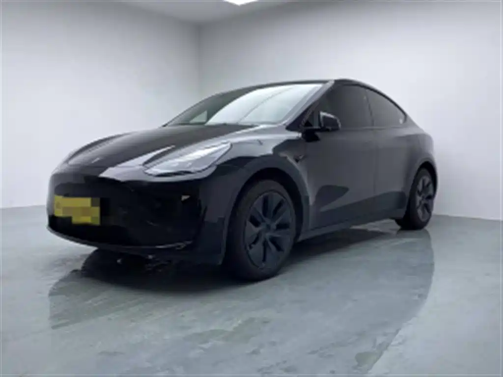Tesla Model Y 2024 Rear-Wheel Drive Version