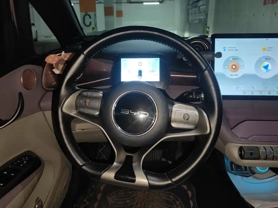 BYD Dolphin 2021 2021 Model 405km Fashion Edition