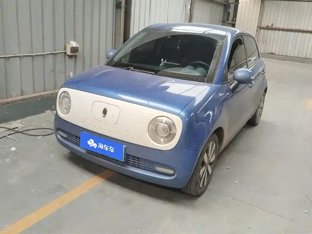 EULER BLACK CAT 2019