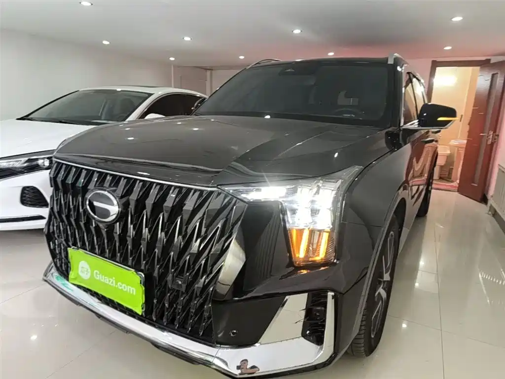 GAC Trumpchi Trumpchi GS8 2022 Dual Engine Series 2.0TM 2WD Premium Edition (7-Seater) фото 3
