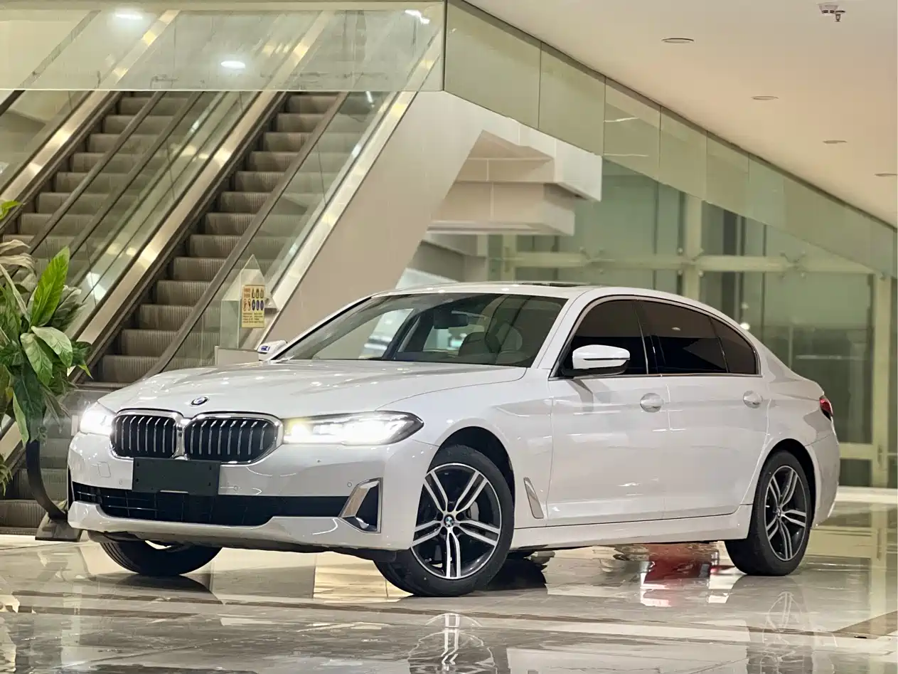 BMW 5 Series 2021 530Li Leading Luxury Package