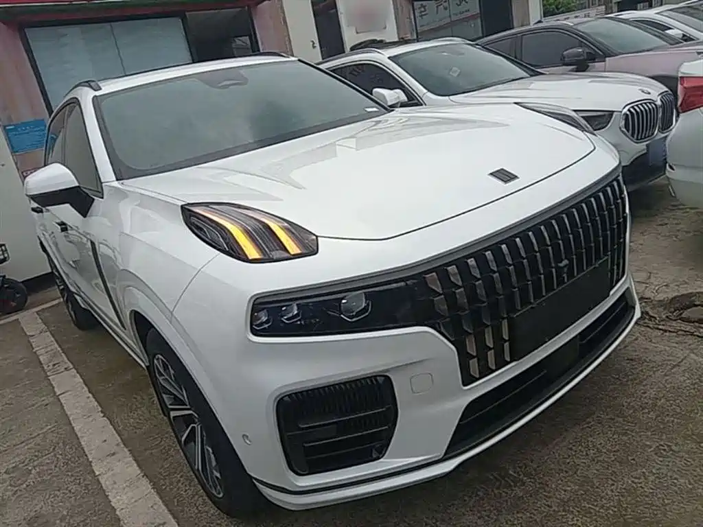 Lynk & Co 09 EM-P 2023 2.0TD EM-P Voyage PM 7-Seater фото 4